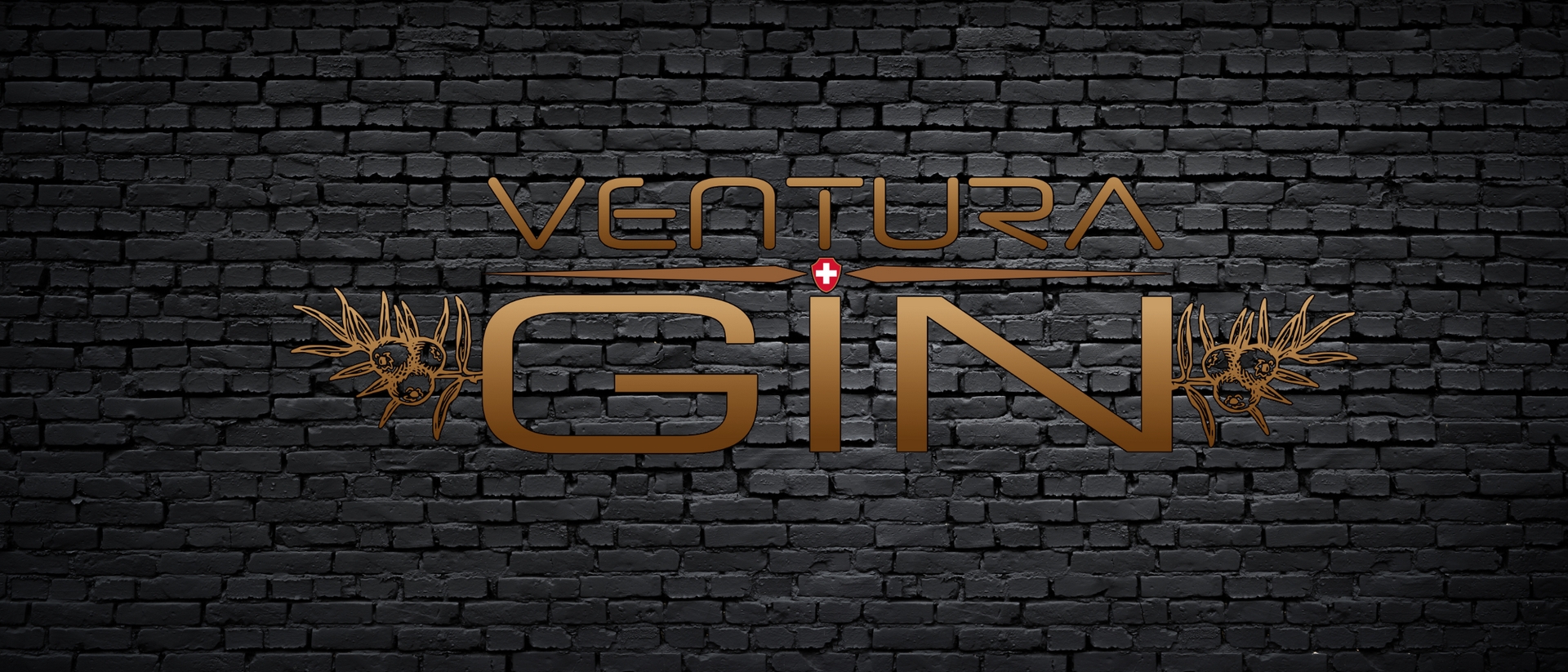 (c) Ventura-gin.ch